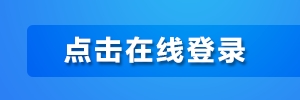 300 100 2.png